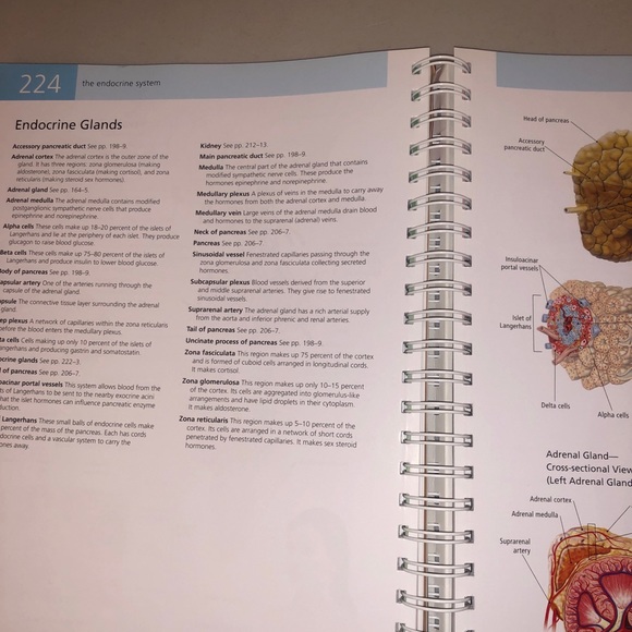 🫀 ⚕️Barron's The Anatomy Student's Self-Test Visual Dictionary Book Interactive - Picture 6 of 9